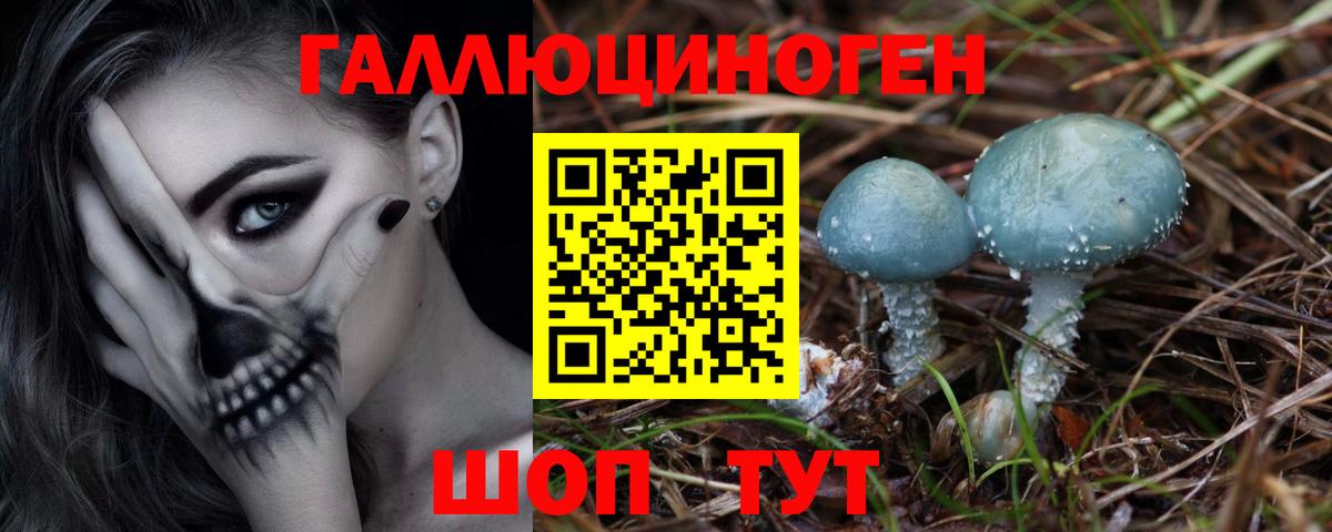 Знаменск  Псилоцибиновые грибы прущие грибы  Вход с VPN 